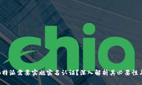 为何B特派需要实施实名认证？深入解析其必要性与影响